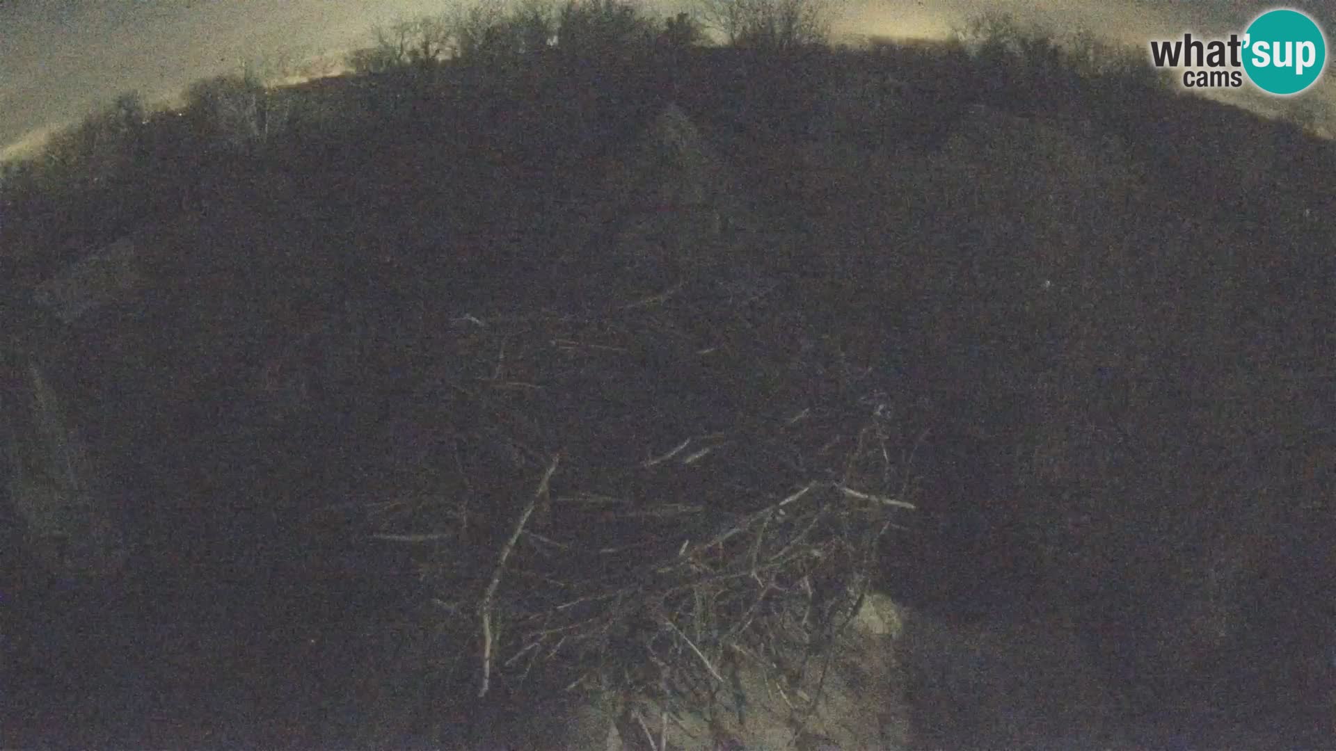 Webcam Europäisches Storchendorf – Naturpark Lonjsko polje