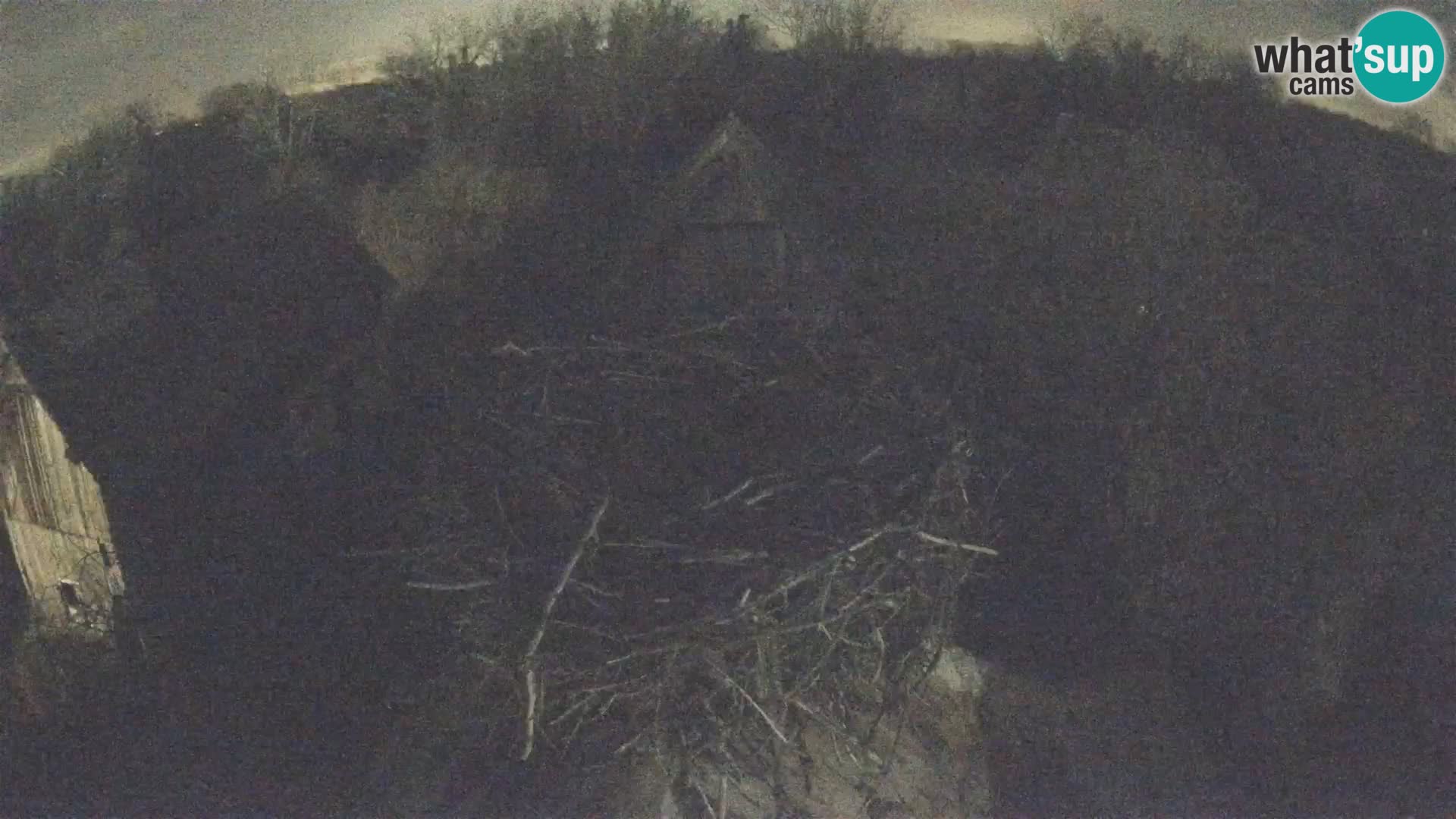 Webcam Europäisches Storchendorf – Naturpark Lonjsko polje