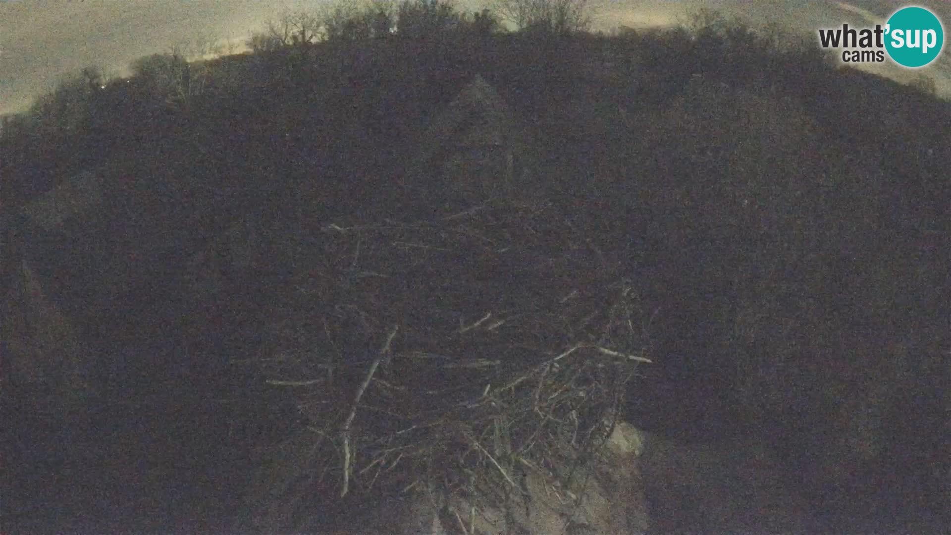Village européen de cigognes webcam Parc naturel de Lonjsko polje