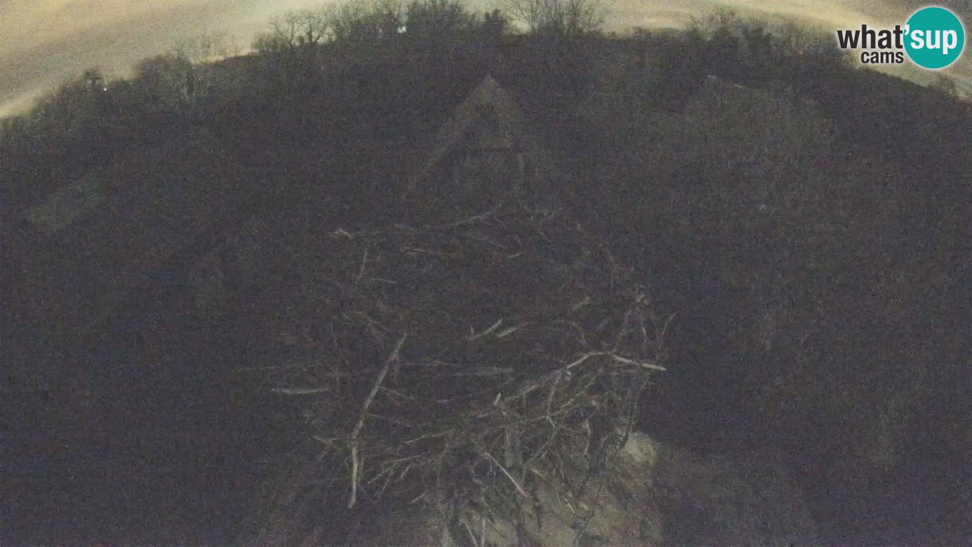 Villaggio delle cicogne europee webcam Parco naturale di Lonjsko polje