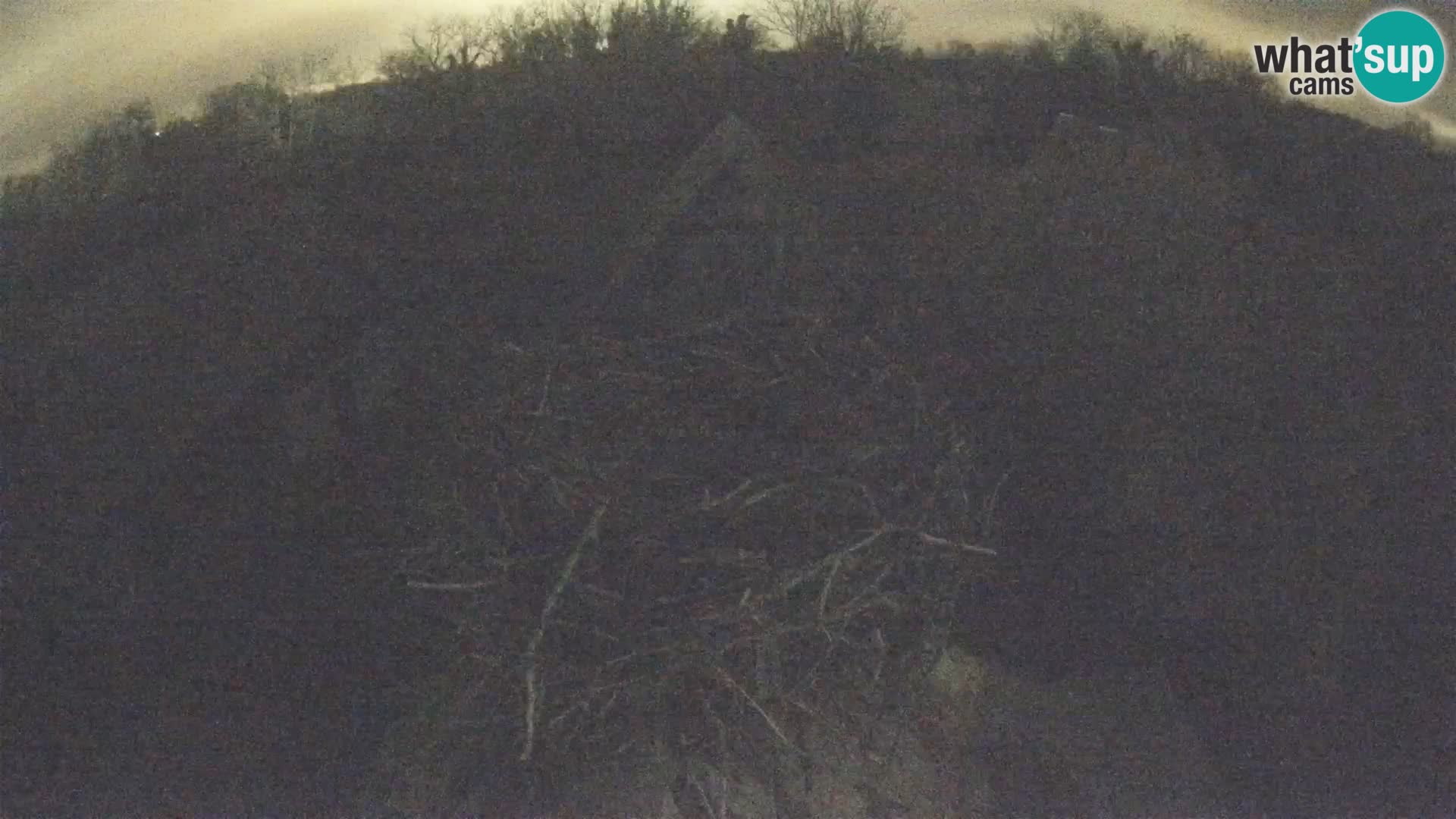 Village européen de cigognes webcam Parc naturel de Lonjsko polje