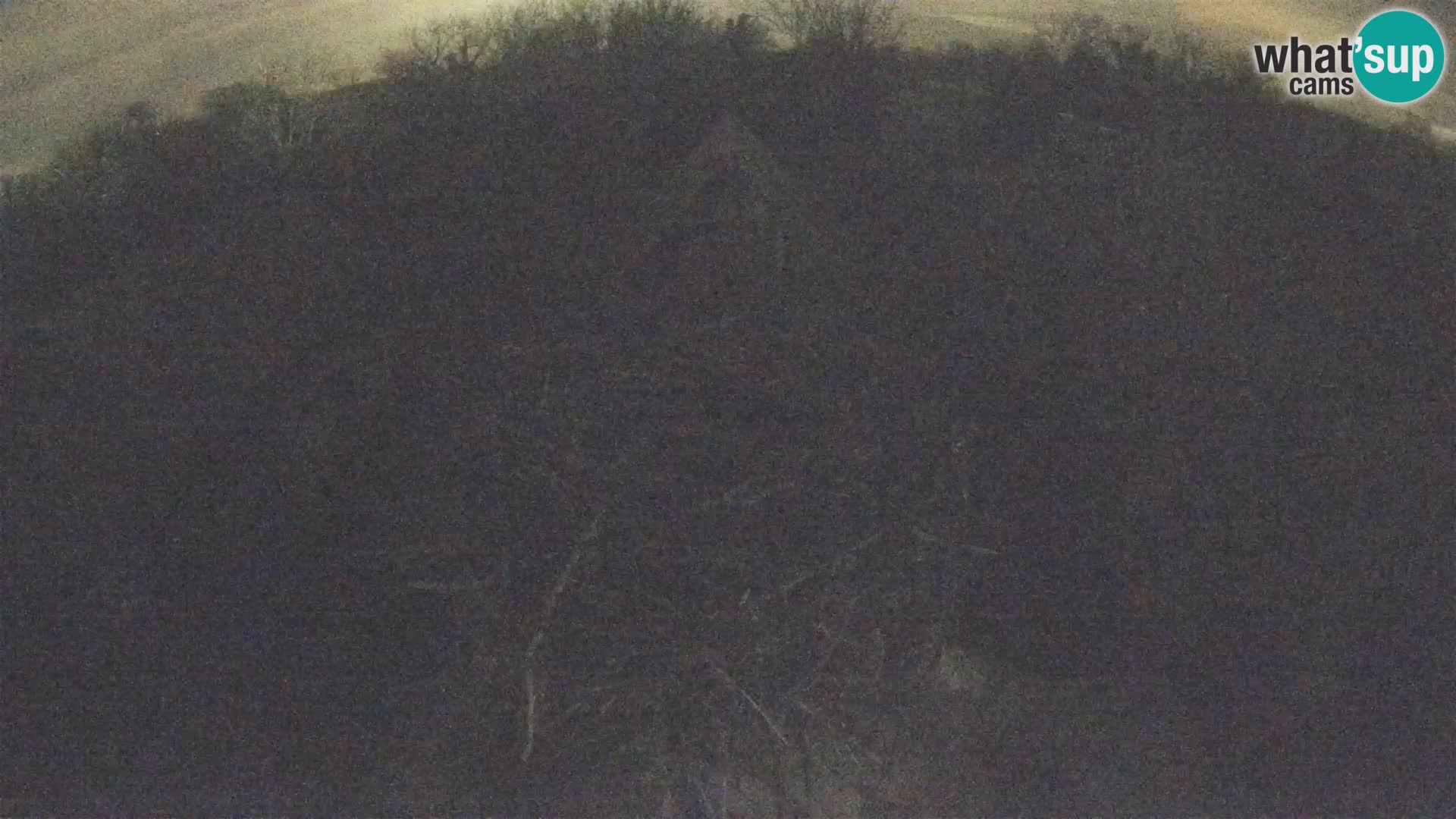 Pueblo europeo de cigüeñas camera en vivo Parque Natural Lonjsko polje