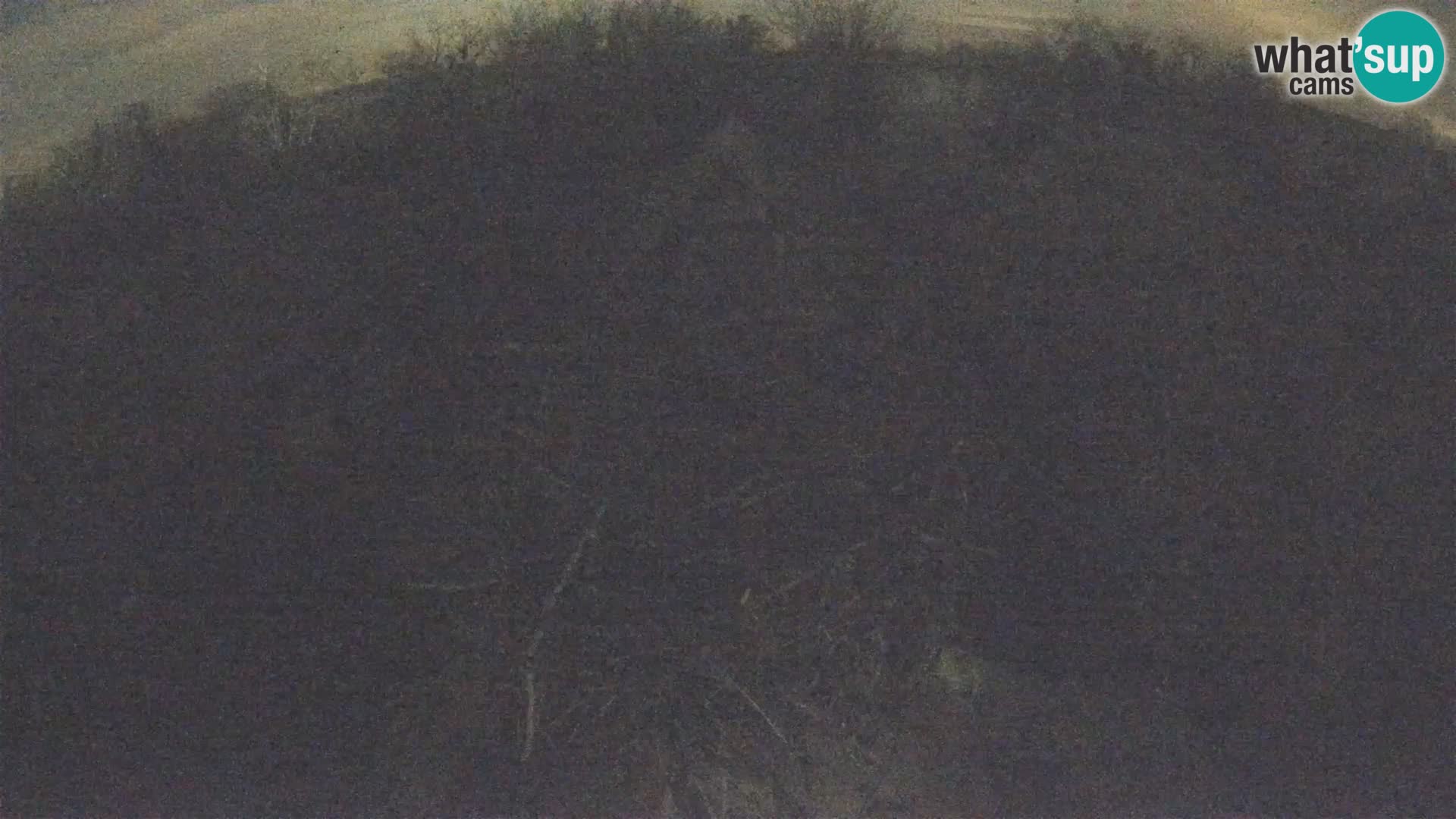 Villaggio delle cicogne europee webcam Parco naturale di Lonjsko polje