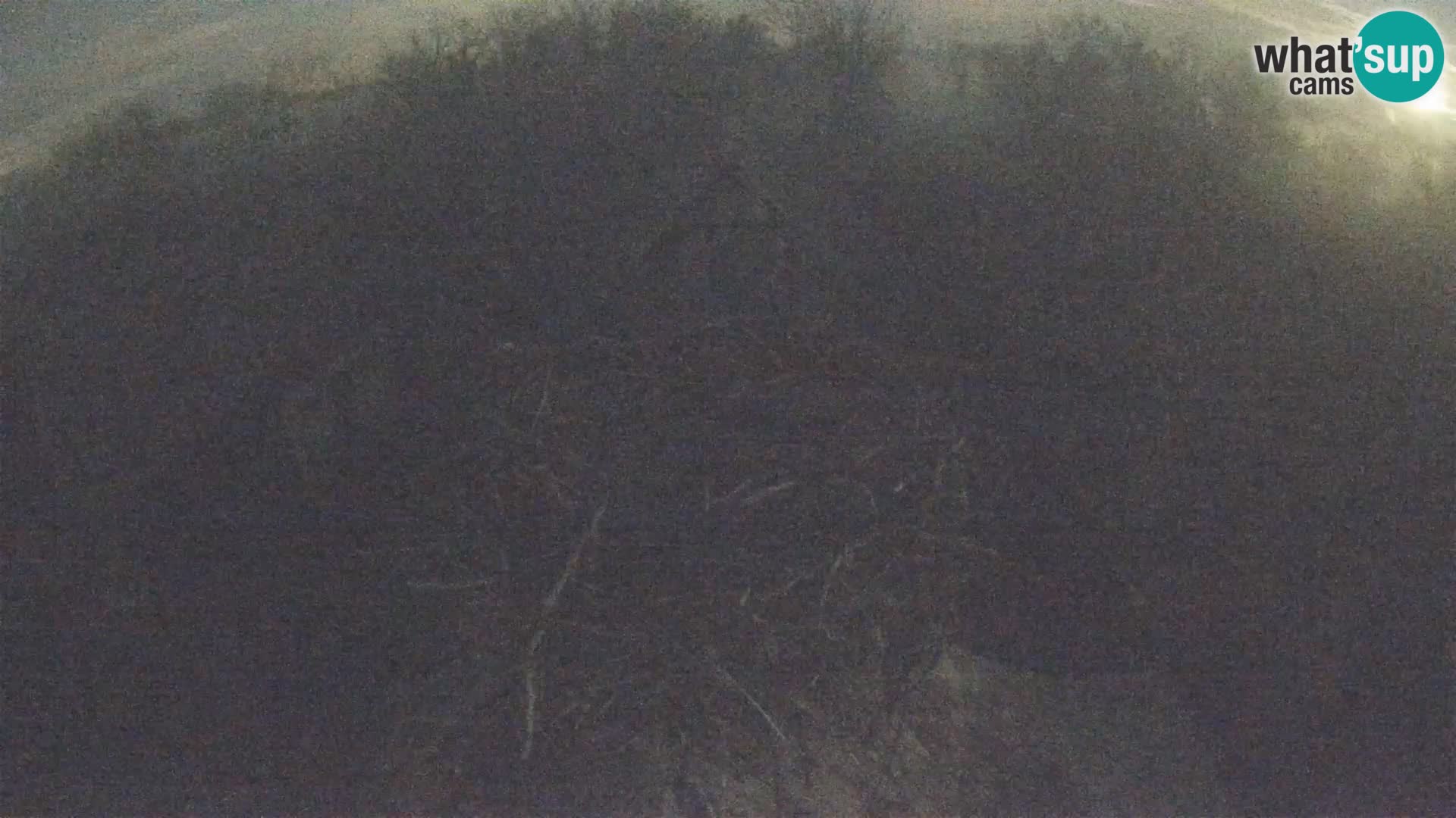 Village européen de cigognes webcam Parc naturel de Lonjsko polje