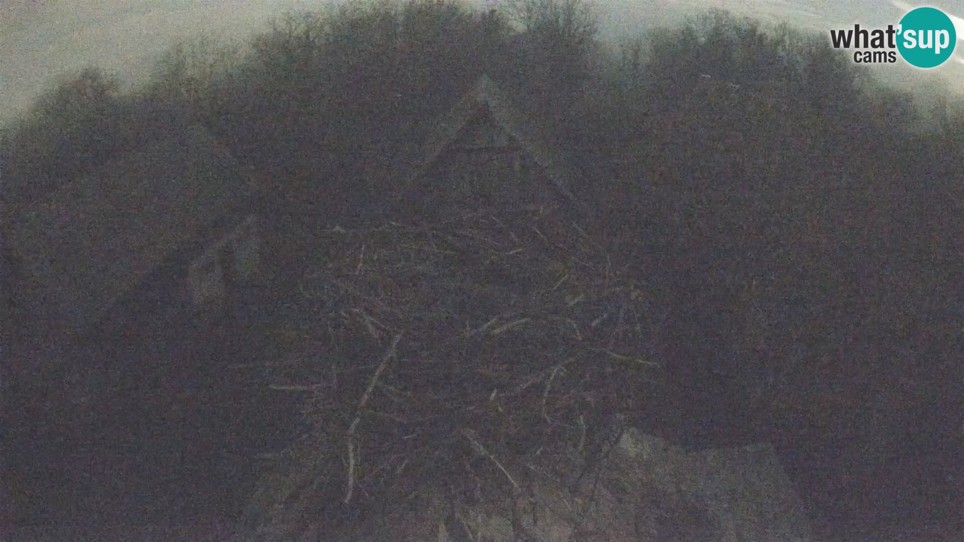 Evropska vas štorklje – Krajinski park Lonjsko polje spletna kamera