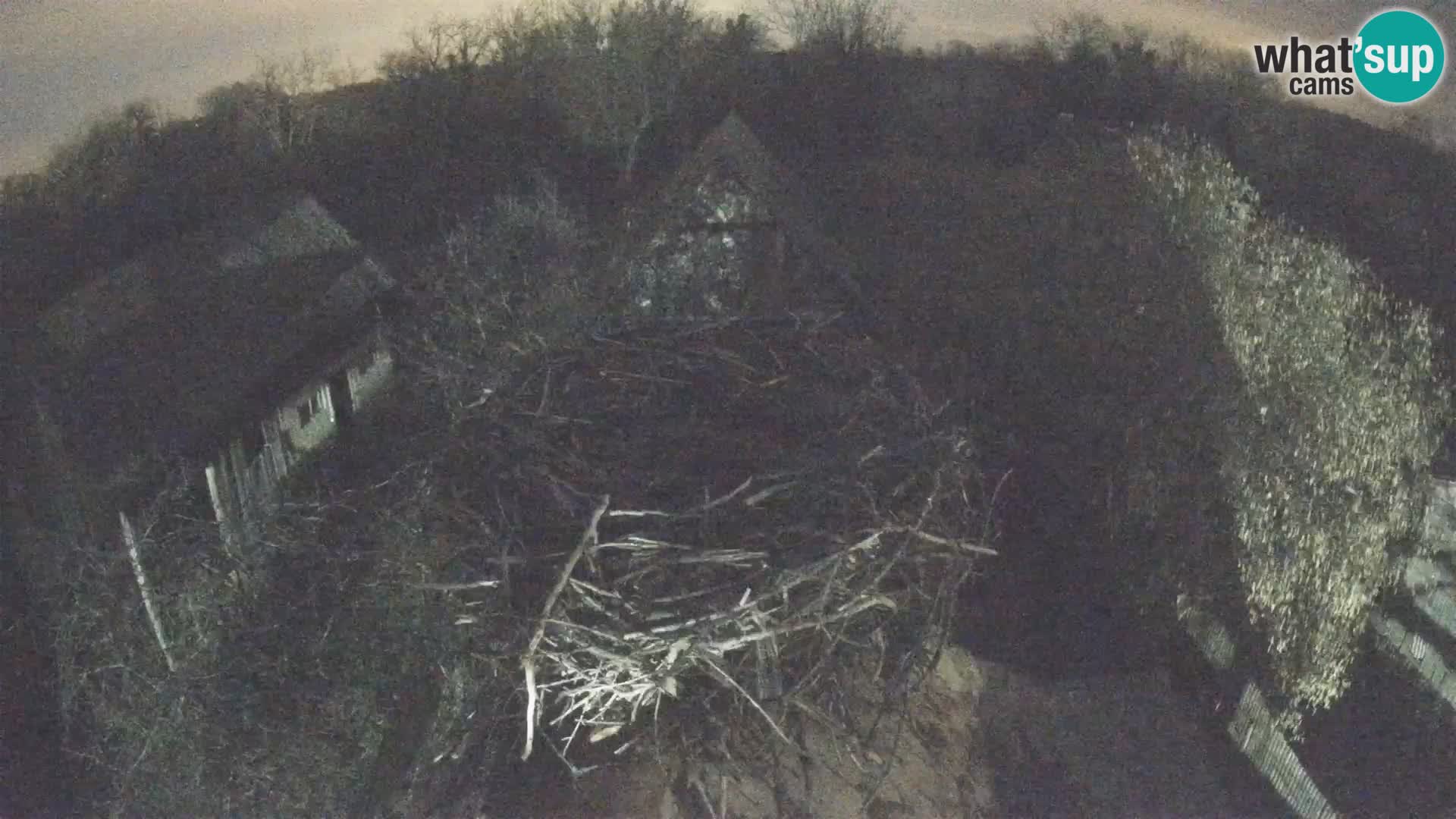 Webcam Europäisches Storchendorf – Naturpark Lonjsko polje