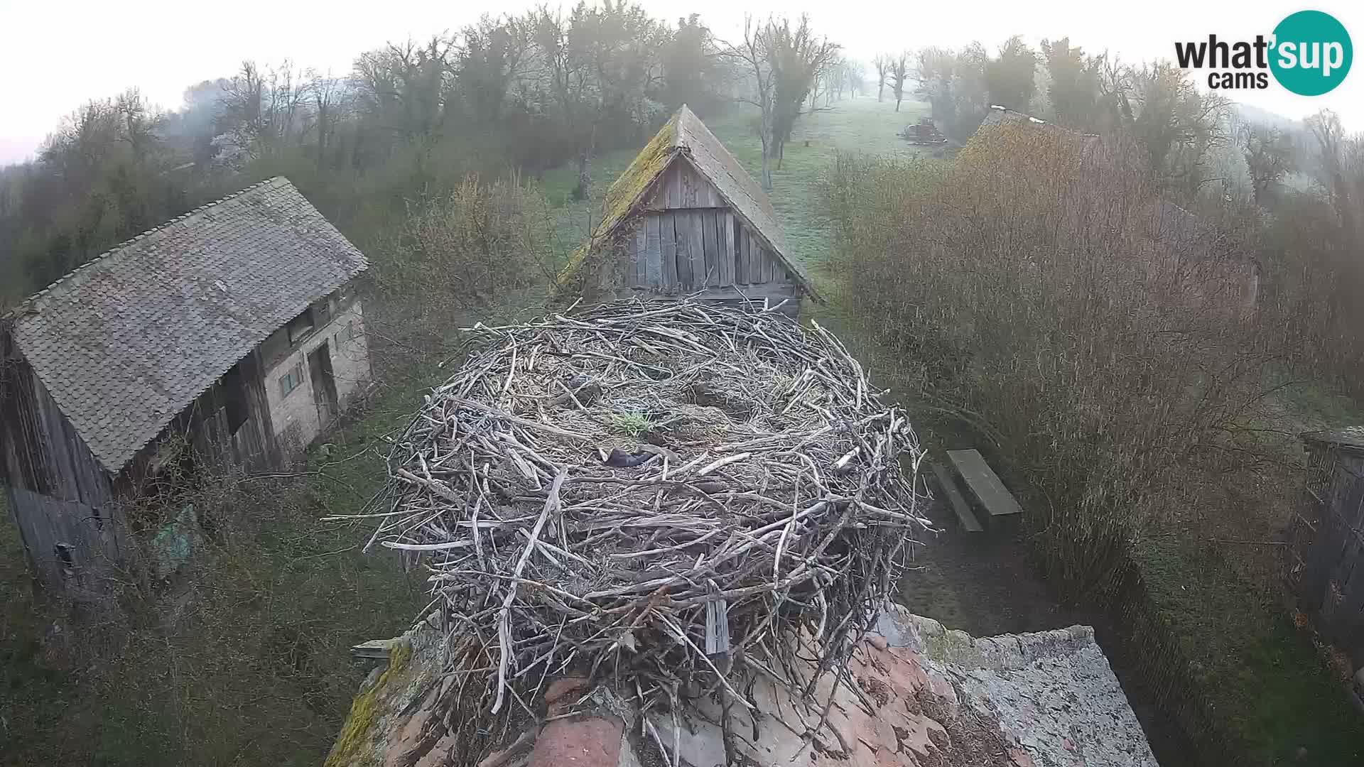 U živo Europsko selo roda – Park prirode Lonjsko polje