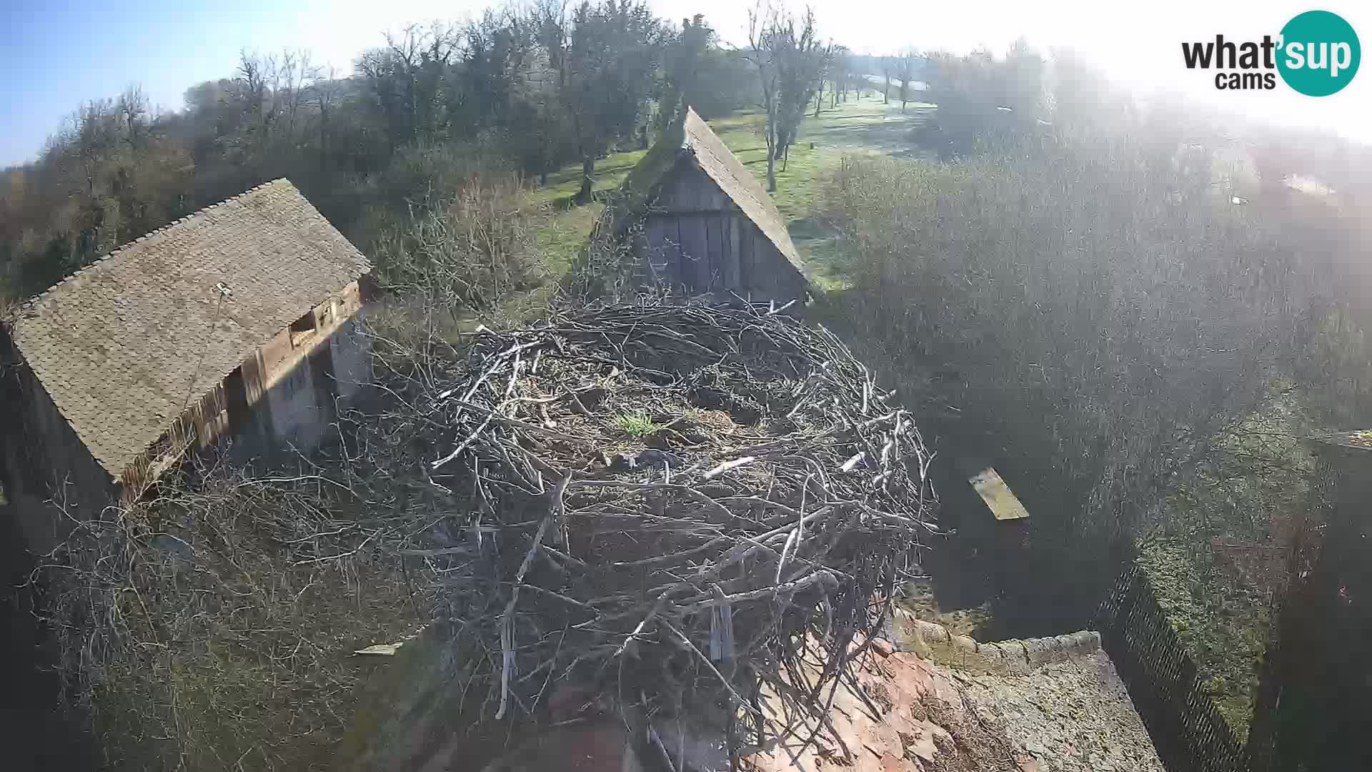 U živo Europsko selo roda – Park prirode Lonjsko polje