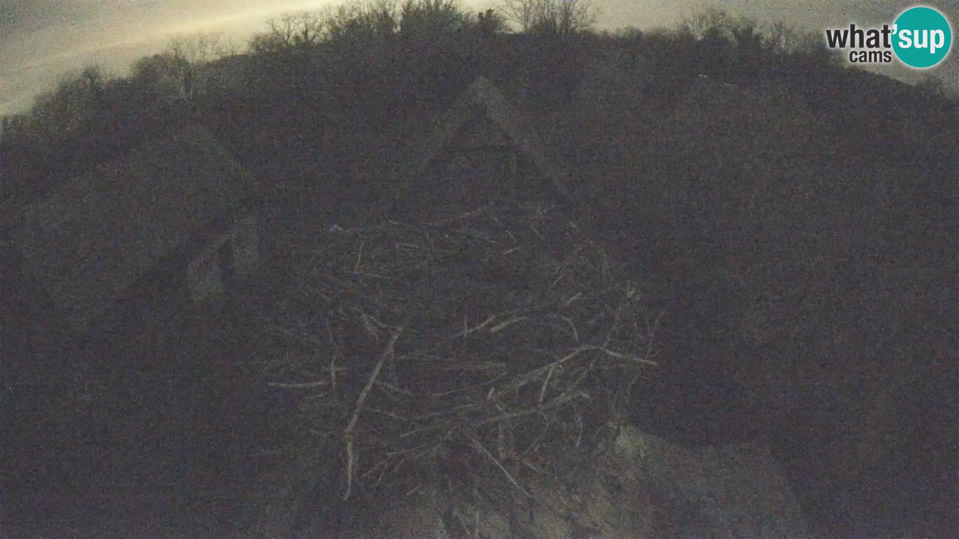 Webcam Europäisches Storchendorf – Naturpark Lonjsko polje