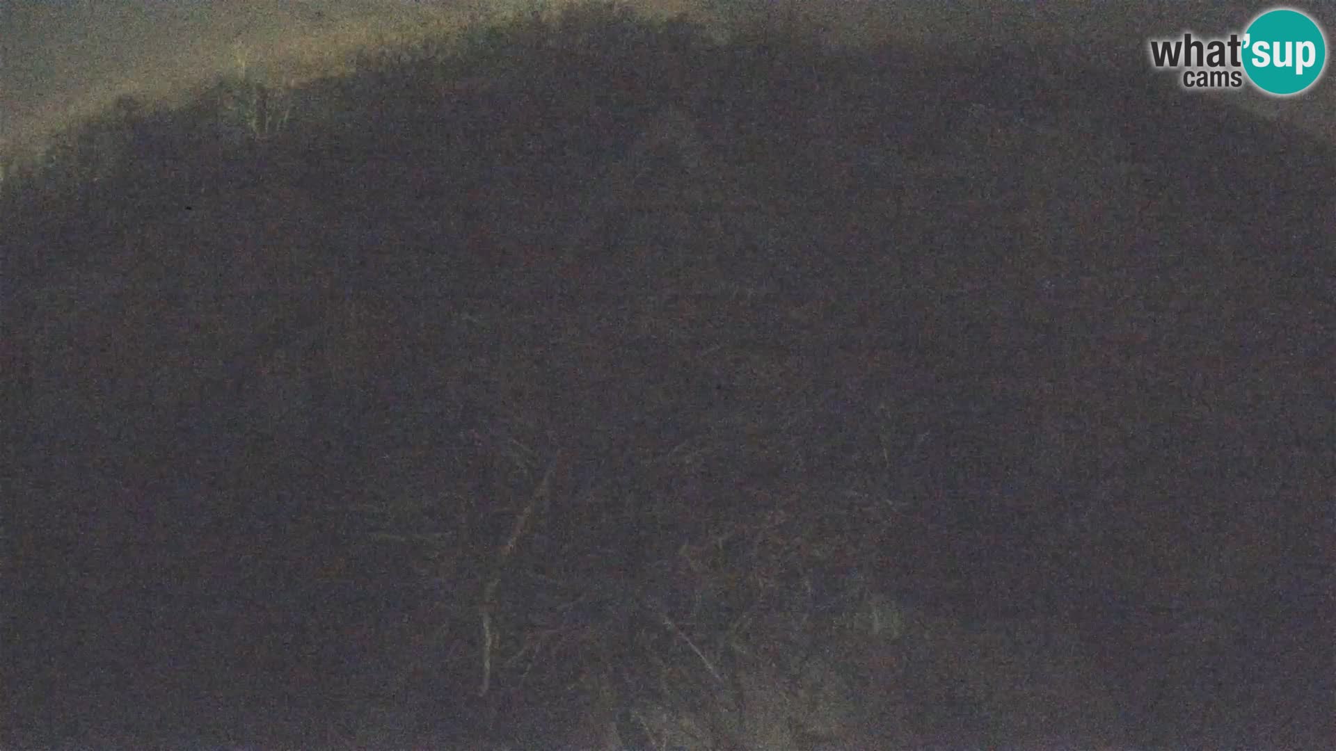 Pueblo europeo de cigüeñas camera en vivo Parque Natural Lonjsko polje