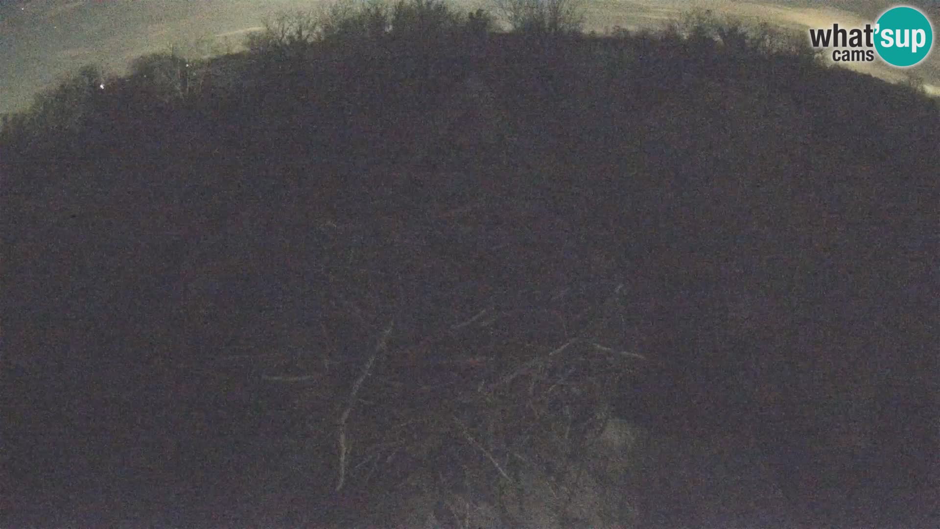 Pueblo europeo de cigüeñas camera en vivo Parque Natural Lonjsko polje