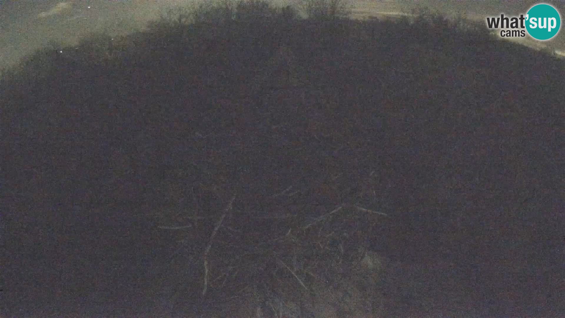 Village européen de cigognes webcam Parc naturel de Lonjsko polje