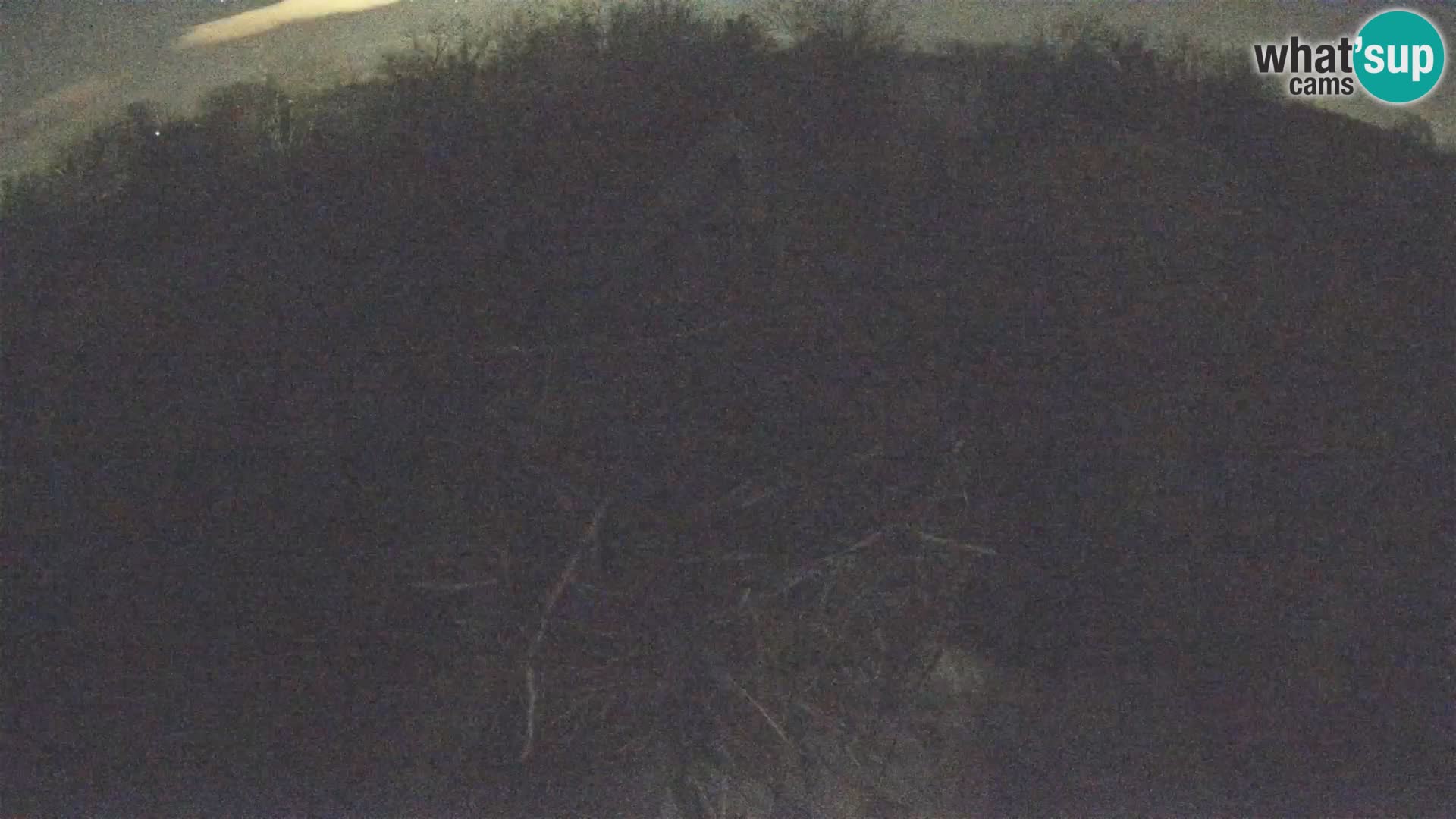 Village européen de cigognes webcam Parc naturel de Lonjsko polje