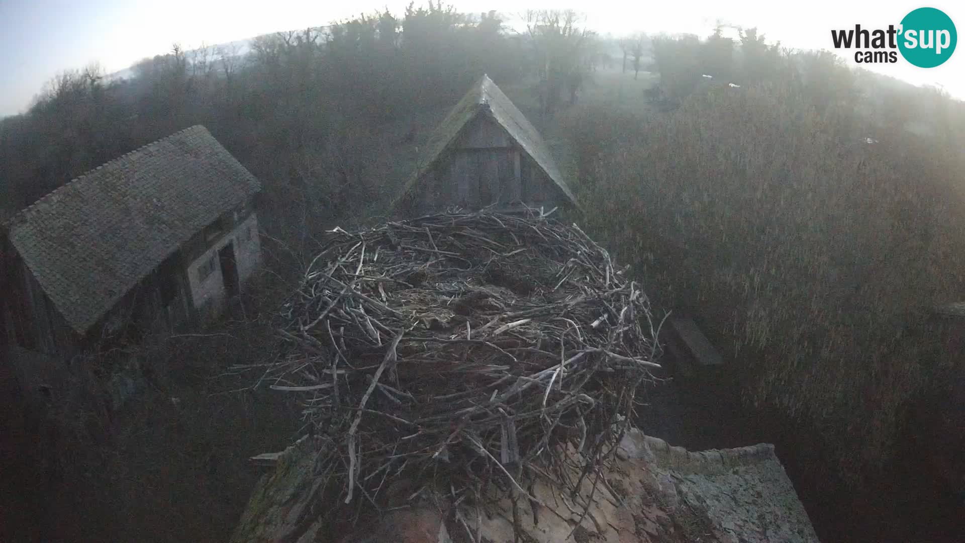 U živo Europsko selo roda – Park prirode Lonjsko polje