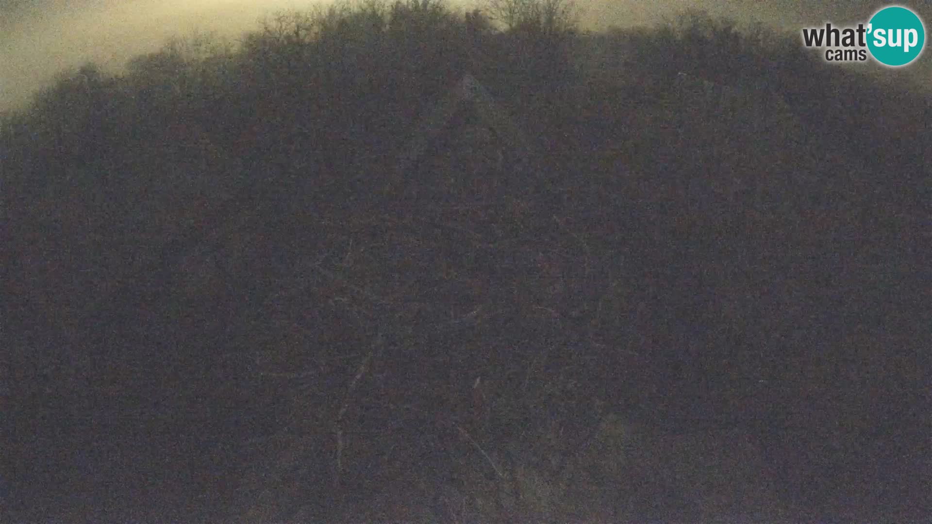 U živo Europsko selo roda – Park prirode Lonjsko polje