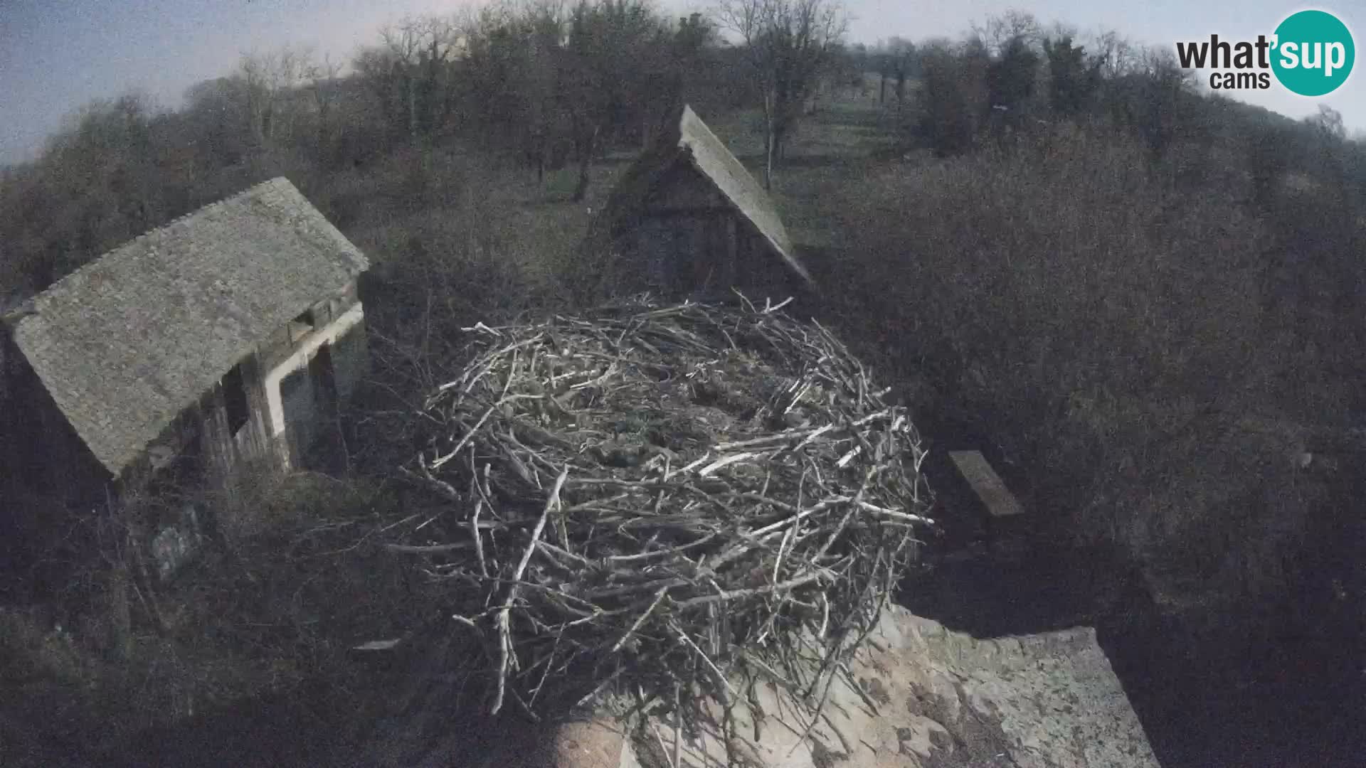 U živo Europsko selo roda – Park prirode Lonjsko polje