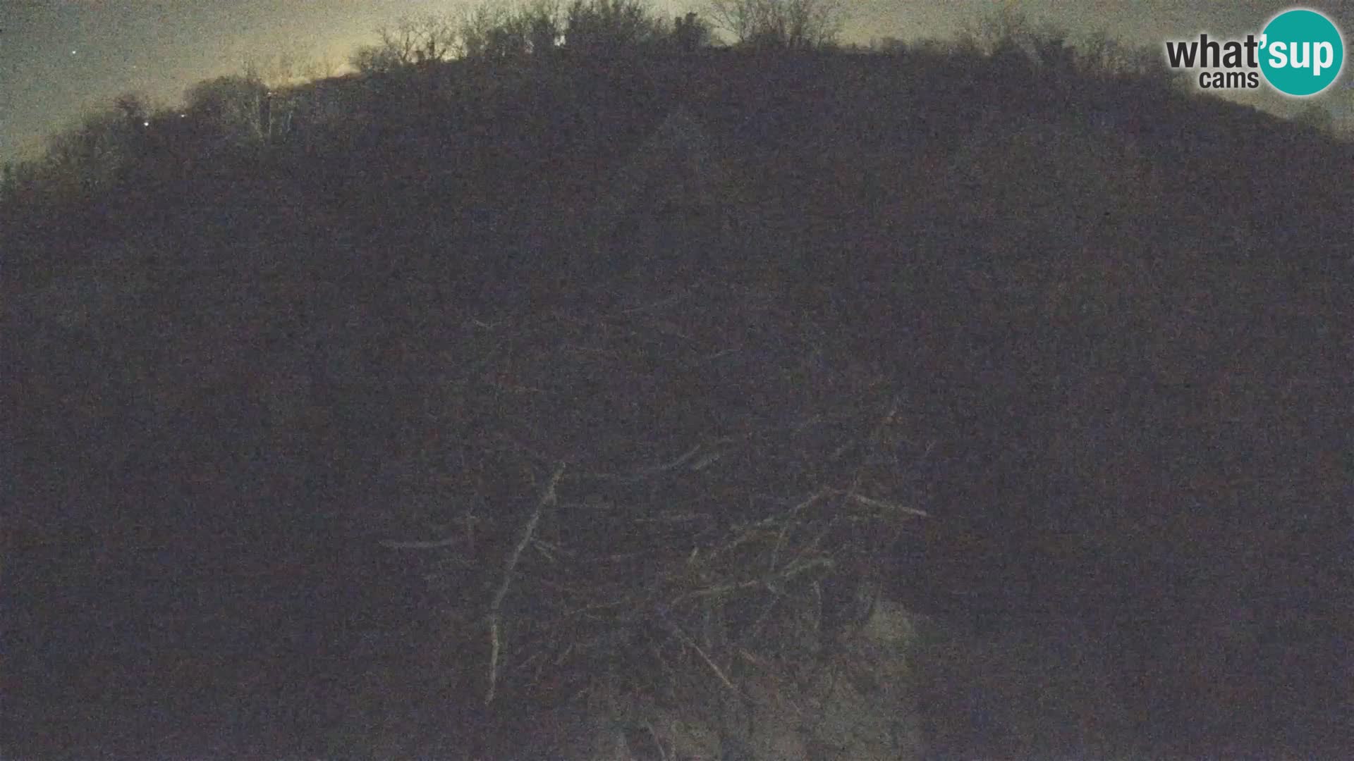 Pueblo europeo de cigüeñas camera en vivo Parque Natural Lonjsko polje