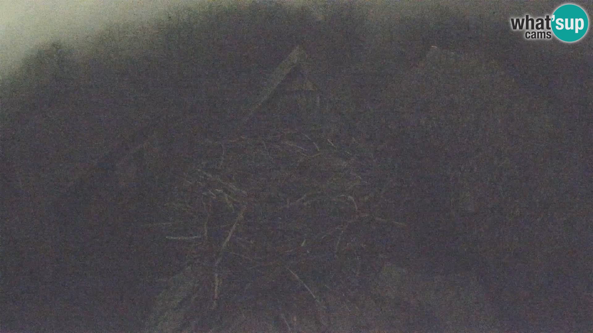 Webcam Europäisches Storchendorf – Naturpark Lonjsko polje