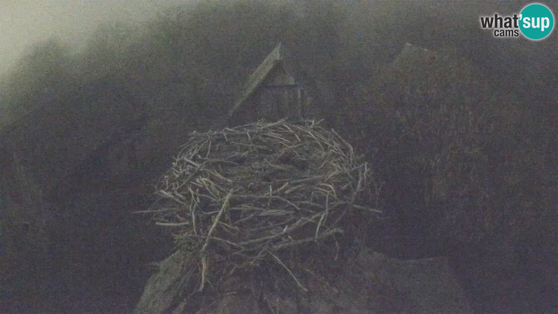 U živo Europsko selo roda – Park prirode Lonjsko polje