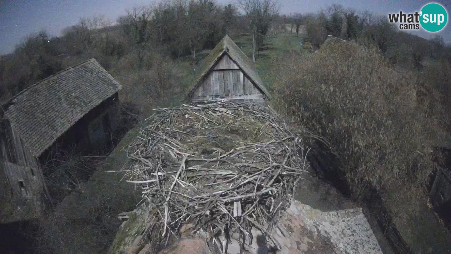 U živo Europsko selo roda – Park prirode Lonjsko polje