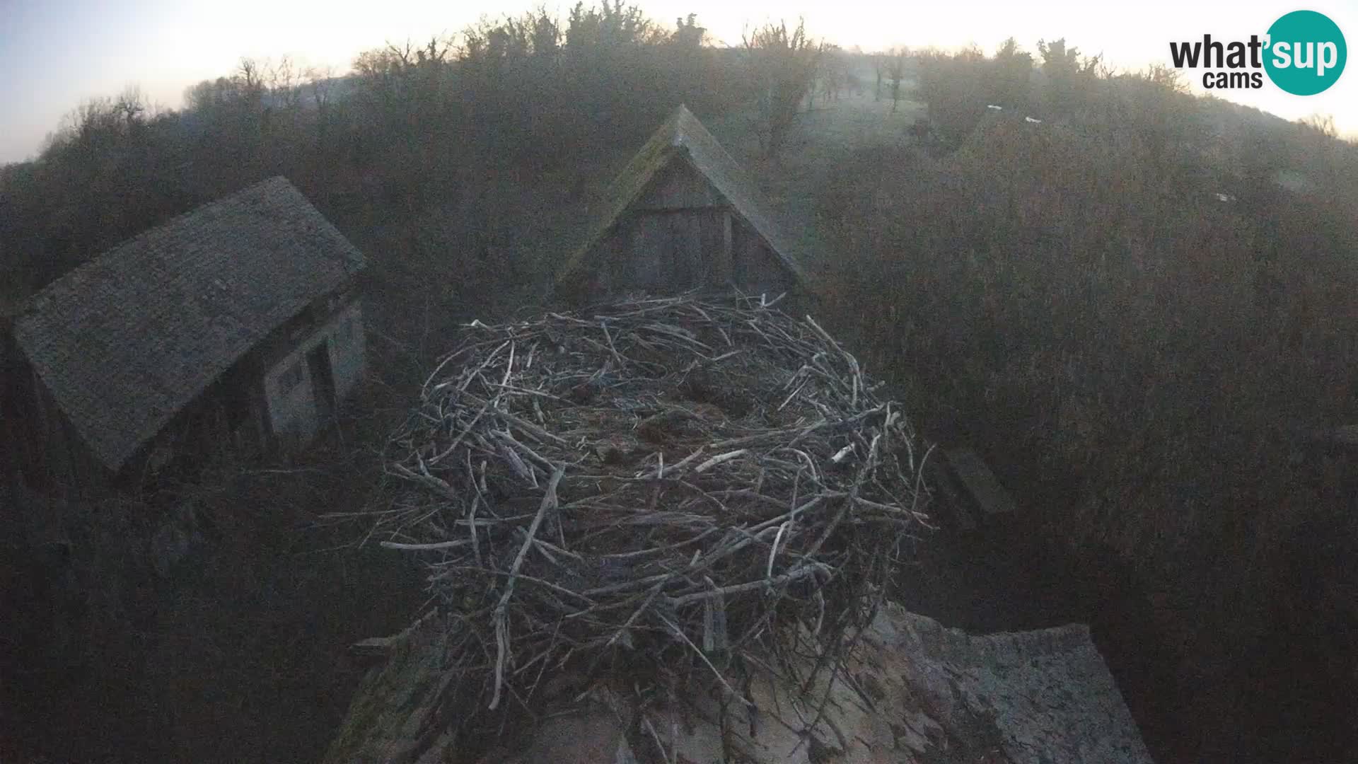 Evropska vas štorklje – Krajinski park Lonjsko polje spletna kamera