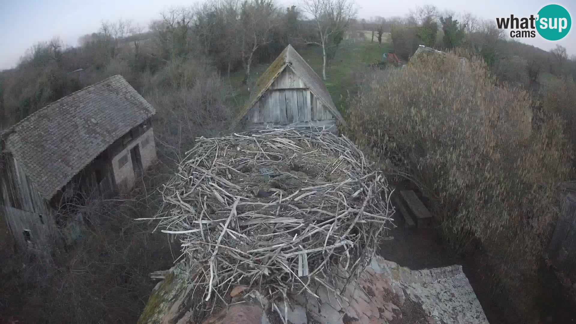 U živo Europsko selo roda – Park prirode Lonjsko polje
