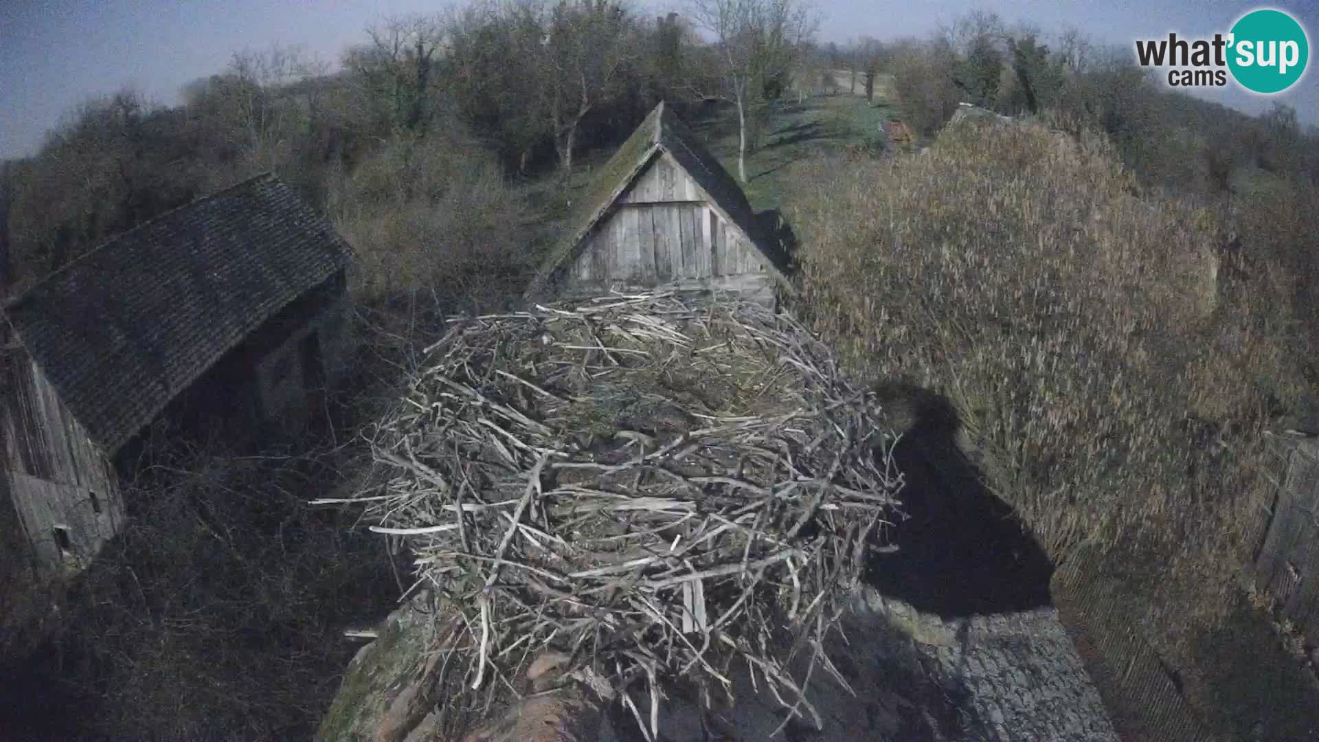 Webcam Europäisches Storchendorf – Naturpark Lonjsko polje