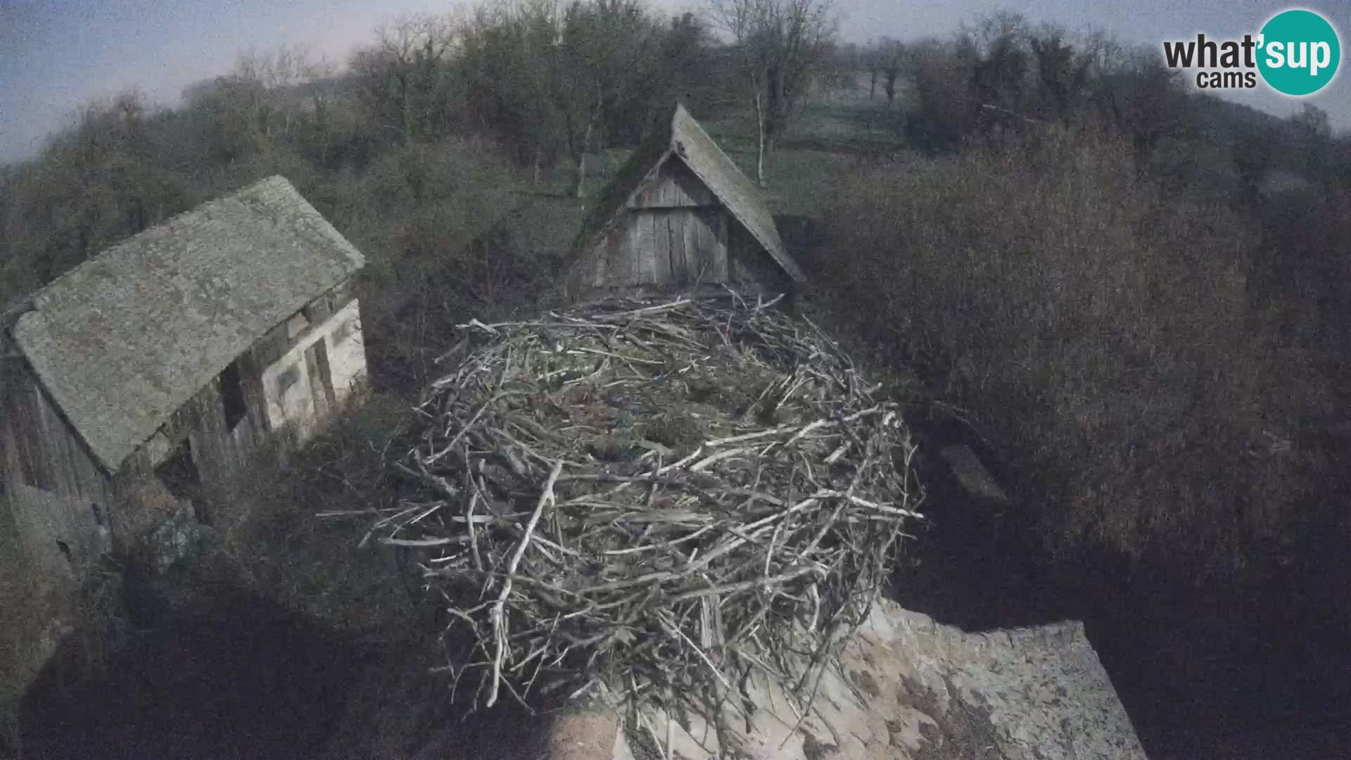 Webcam Europäisches Storchendorf – Naturpark Lonjsko polje