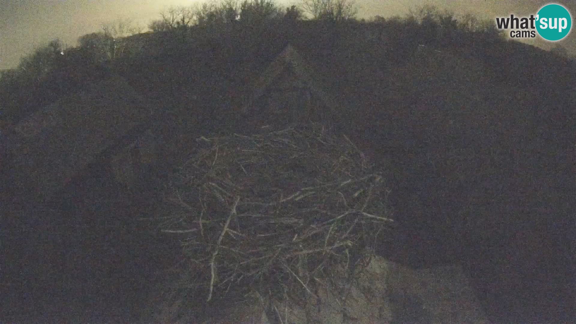 Villaggio delle cicogne europee webcam Parco naturale di Lonjsko polje