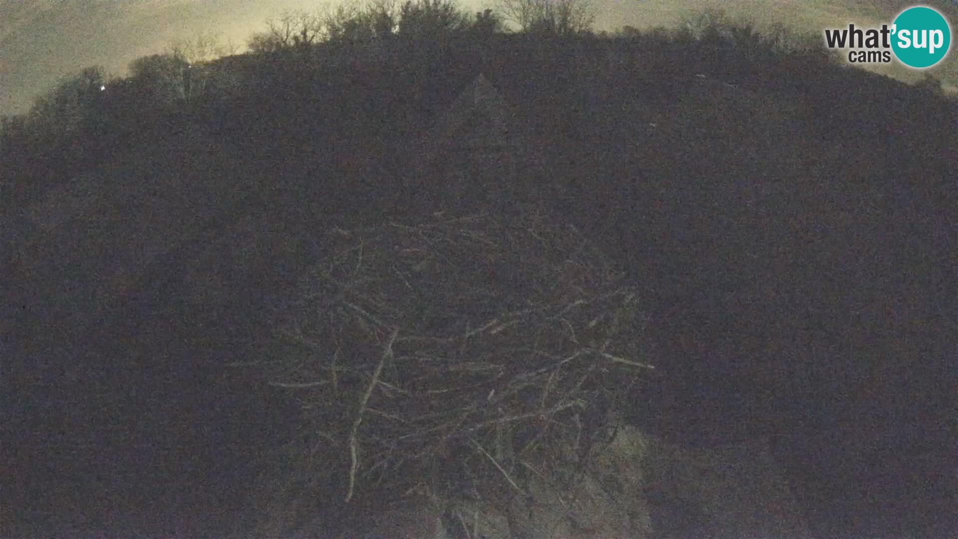 U živo Europsko selo roda – Park prirode Lonjsko polje