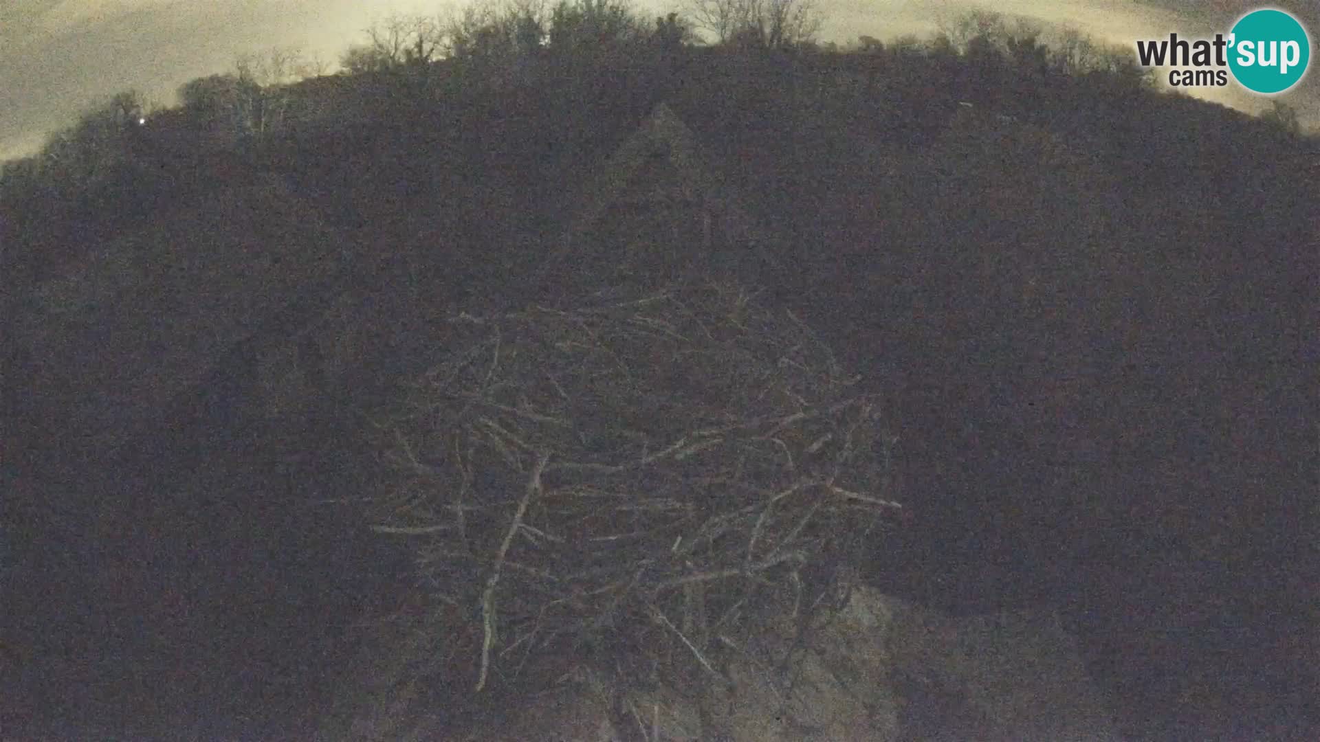 Evropska vas štorklje – Krajinski park Lonjsko polje spletna kamera