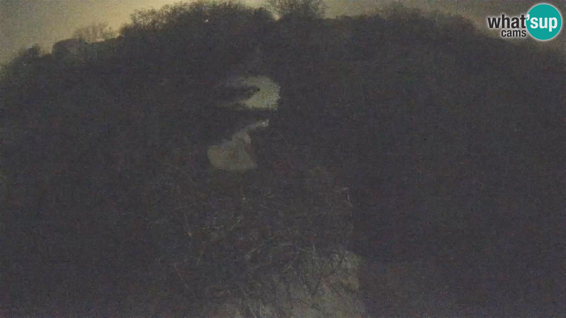 Webcam Europäisches Storchendorf – Naturpark Lonjsko polje