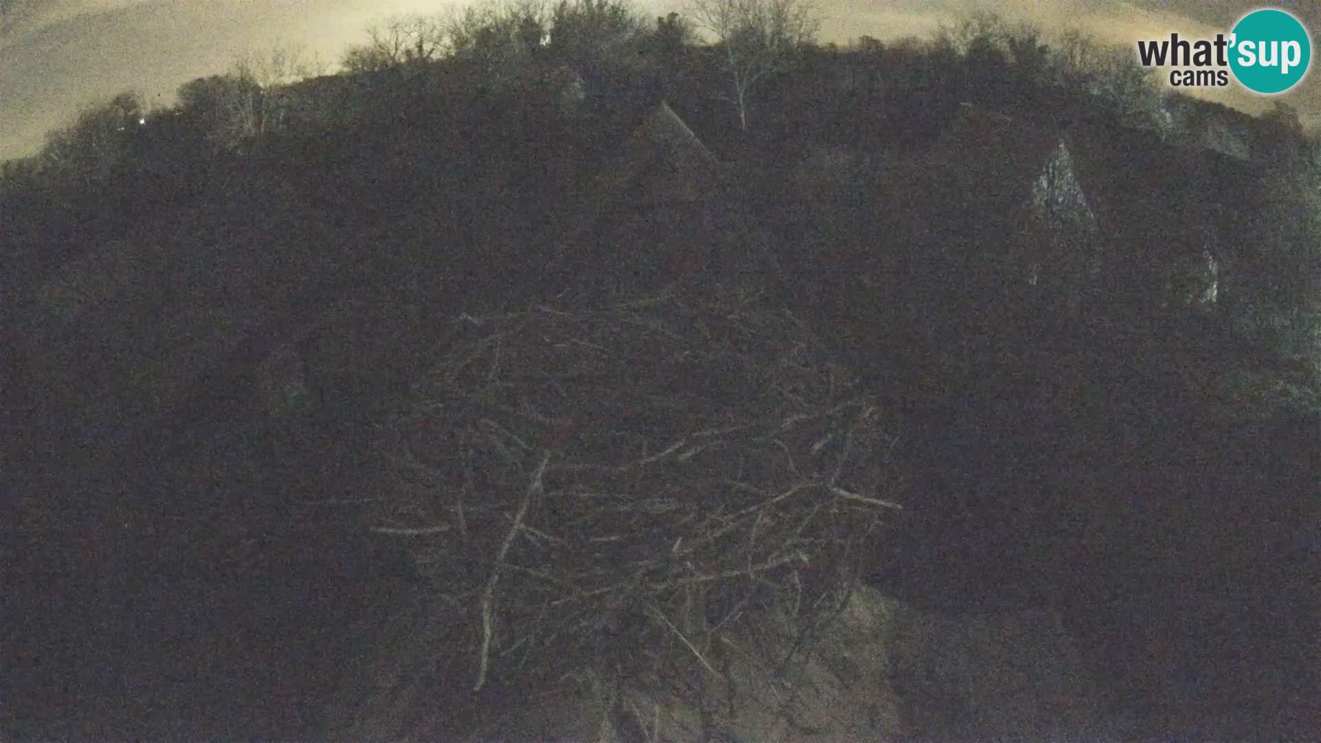 Webcam Europäisches Storchendorf – Naturpark Lonjsko polje