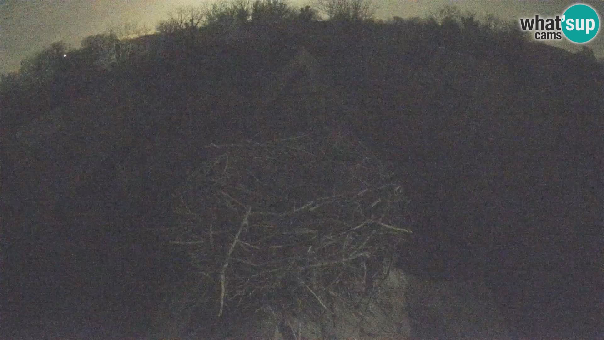 U živo Europsko selo roda – Park prirode Lonjsko polje