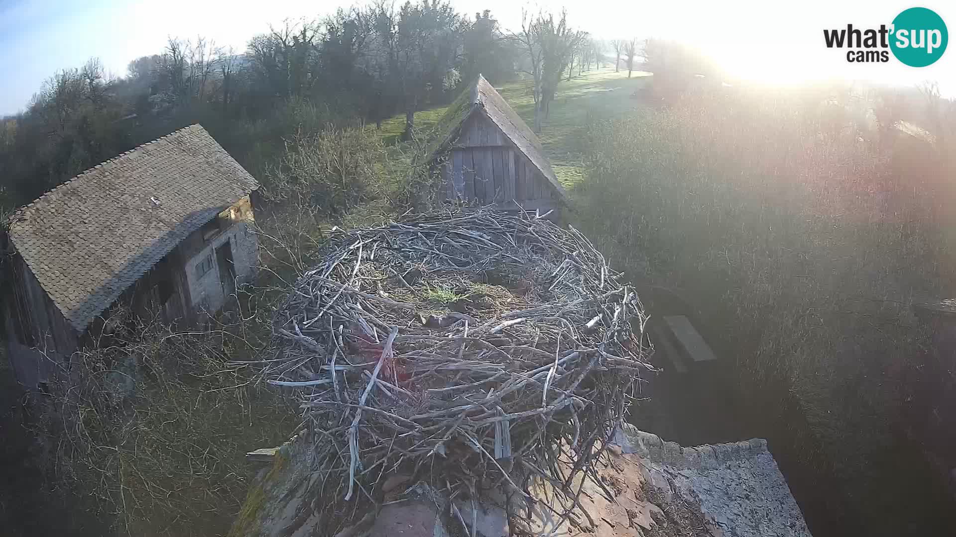 U živo Europsko selo roda – Park prirode Lonjsko polje