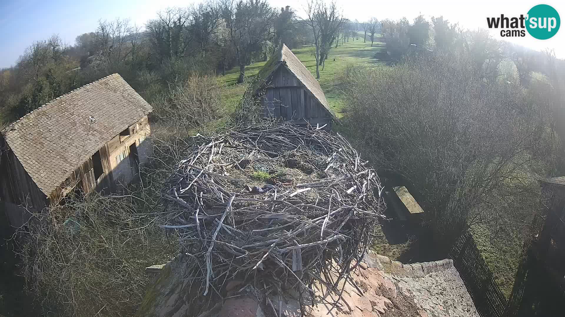 U živo Europsko selo roda – Park prirode Lonjsko polje