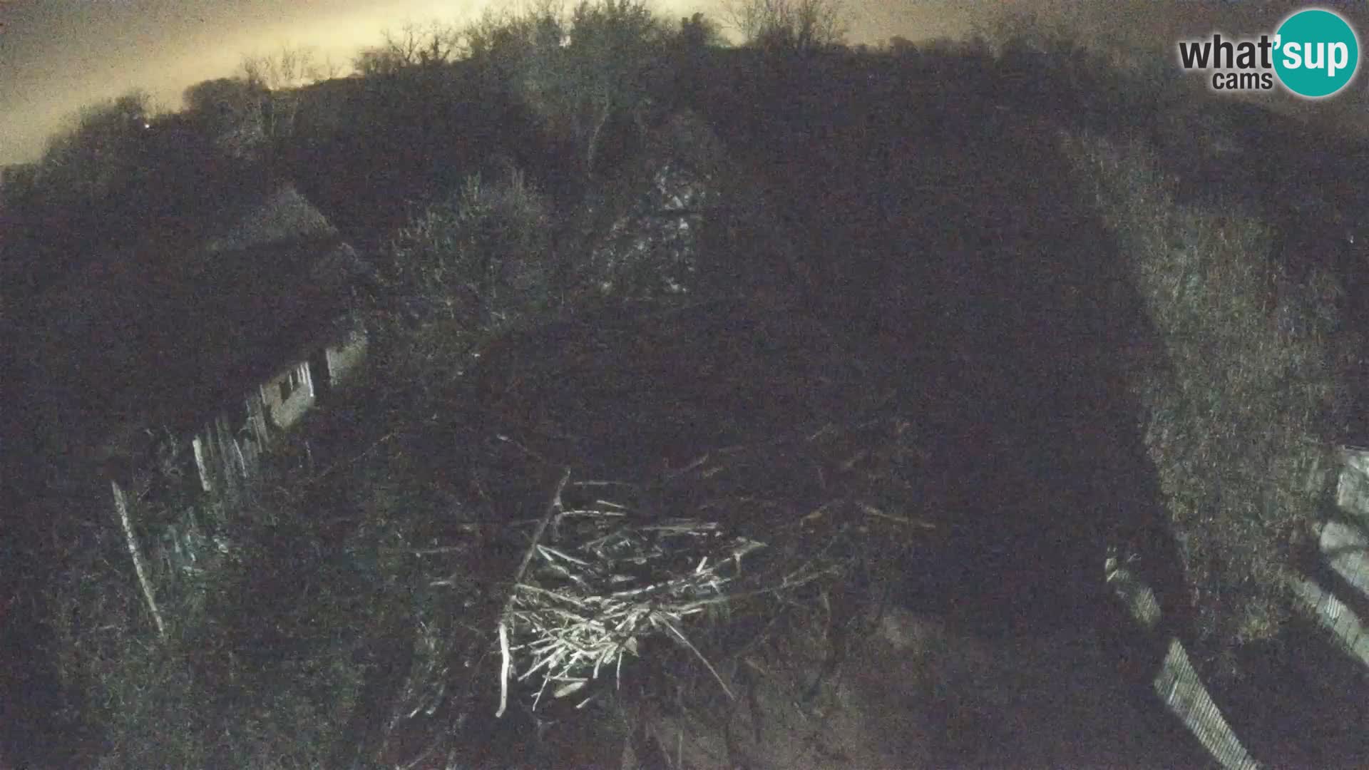 Village européen de cigognes webcam Parc naturel de Lonjsko polje