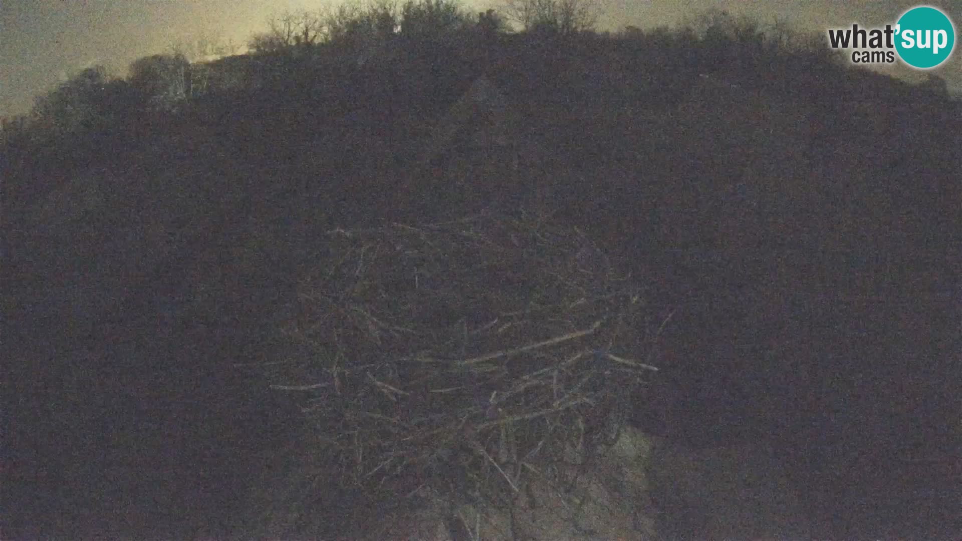 U živo Europsko selo roda – Park prirode Lonjsko polje