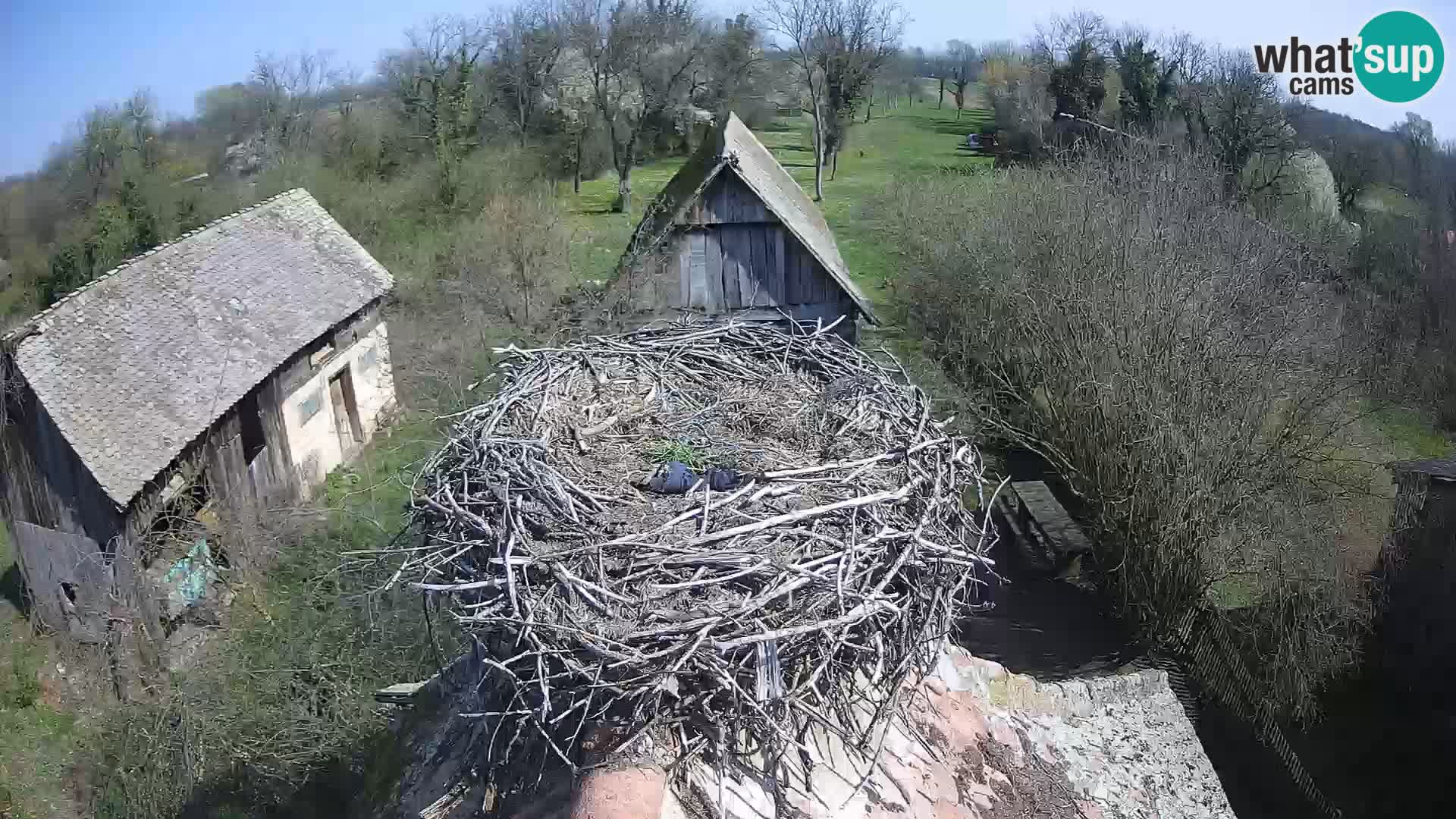 U živo Europsko selo roda – Park prirode Lonjsko polje