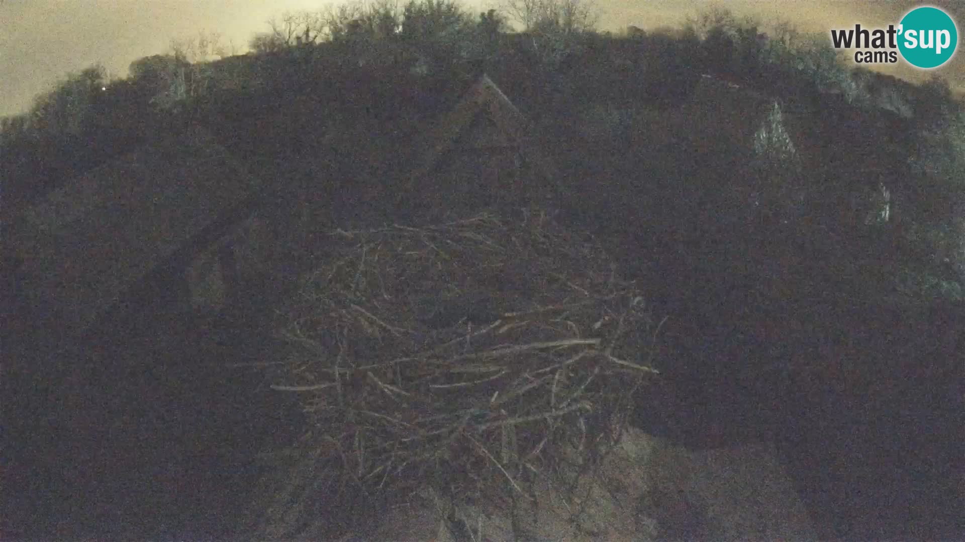 Webcam Europäisches Storchendorf – Naturpark Lonjsko polje