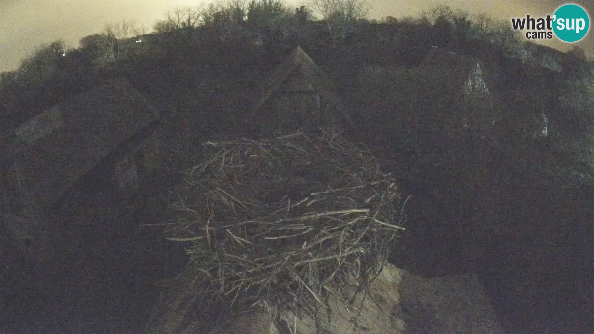 Evropska vas štorklje – Krajinski park Lonjsko polje spletna kamera