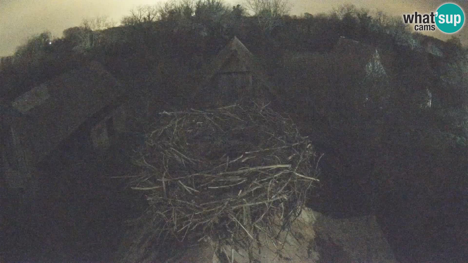 Webcam Europäisches Storchendorf – Naturpark Lonjsko polje