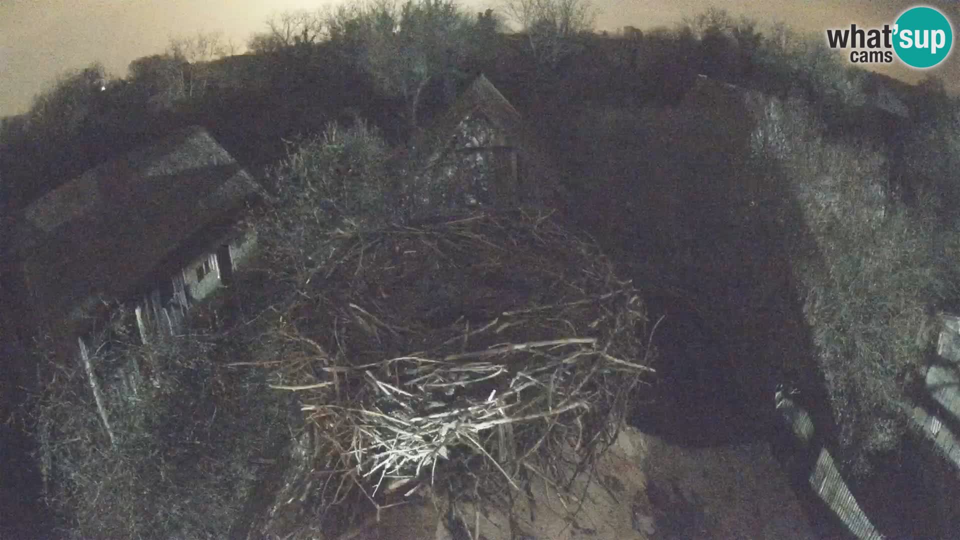 U živo Europsko selo roda – Park prirode Lonjsko polje