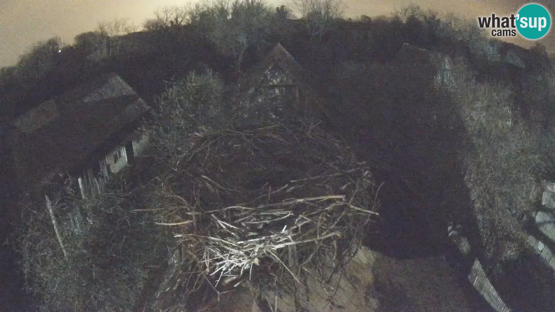 Evropska vas štorklje – Krajinski park Lonjsko polje spletna kamera