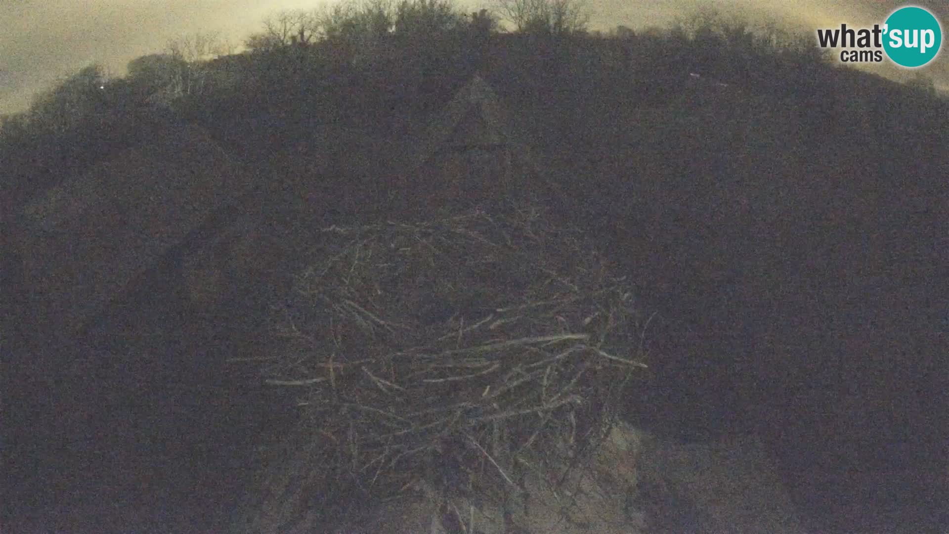 Webcam Europäisches Storchendorf – Naturpark Lonjsko polje