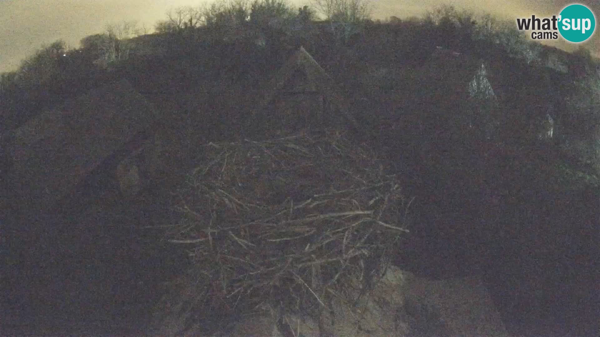 Evropska vas štorklje – Krajinski park Lonjsko polje spletna kamera