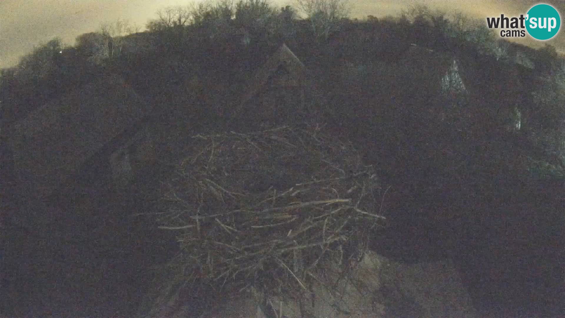 Webcam Europäisches Storchendorf – Naturpark Lonjsko polje