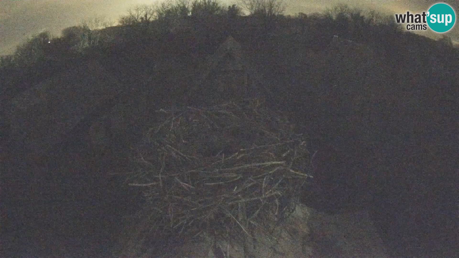 U živo Europsko selo roda – Park prirode Lonjsko polje