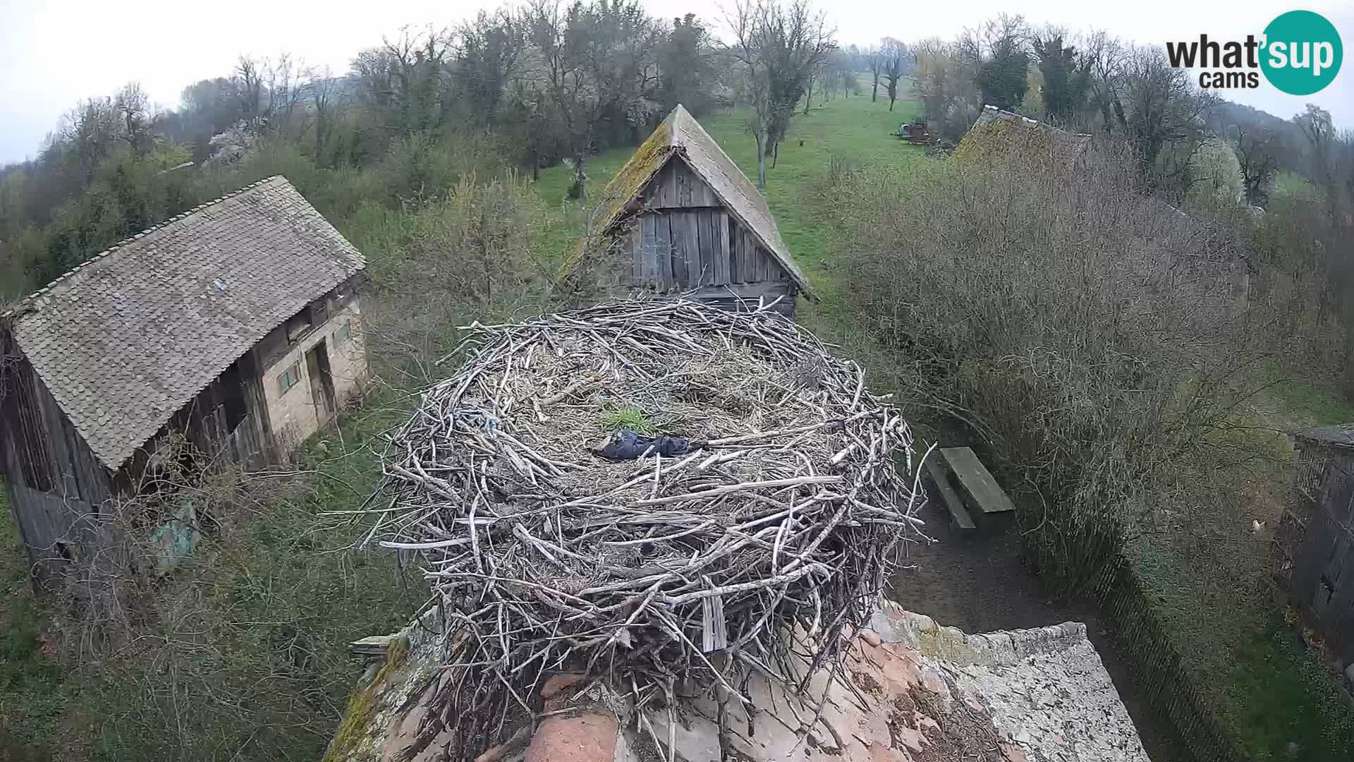 U živo Europsko selo roda – Park prirode Lonjsko polje