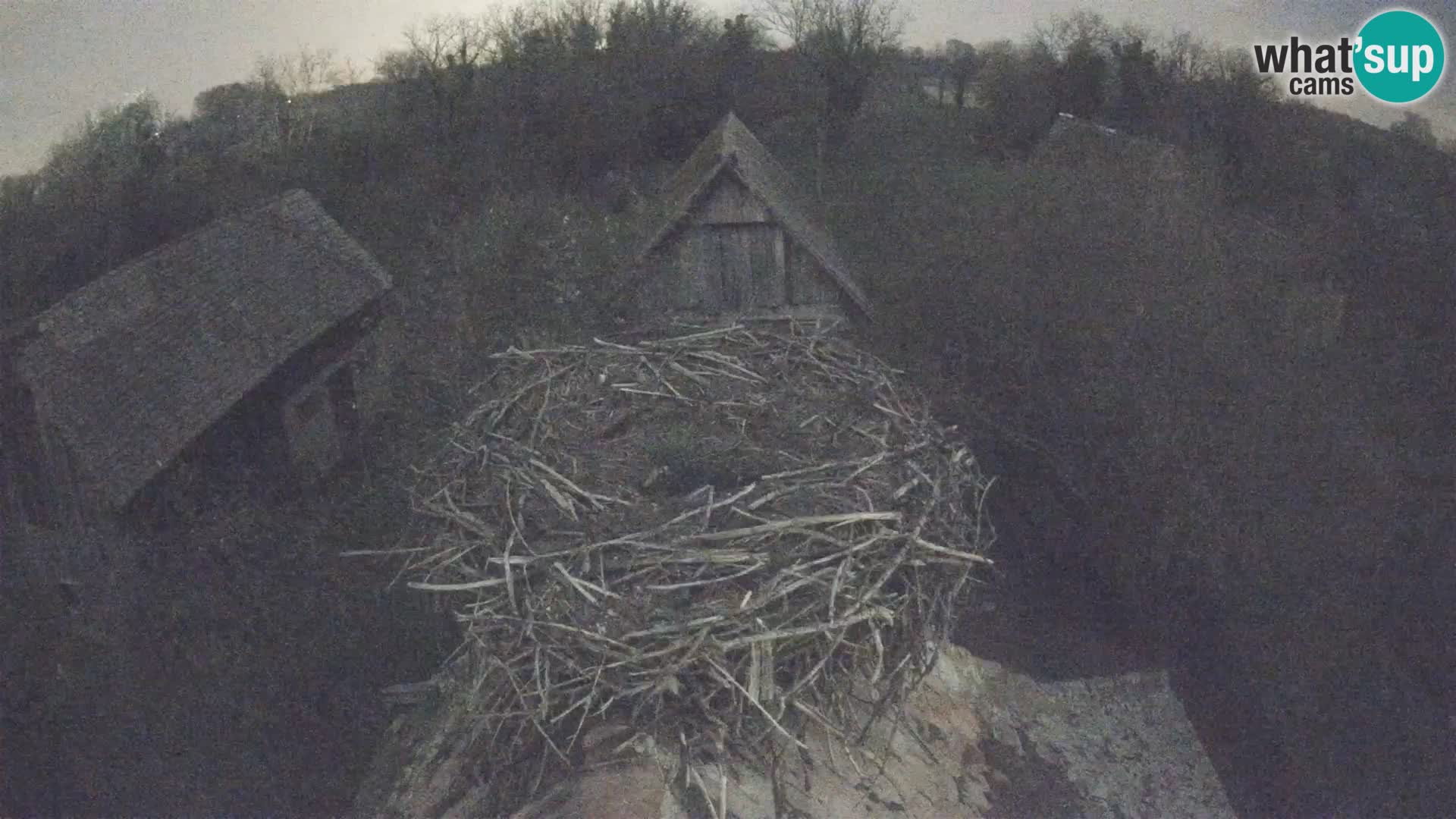 Evropska vas štorklje – Krajinski park Lonjsko polje spletna kamera